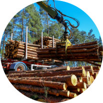 Timber Sale Administration